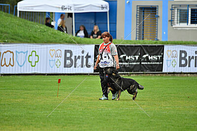 Gero z Berounské basty