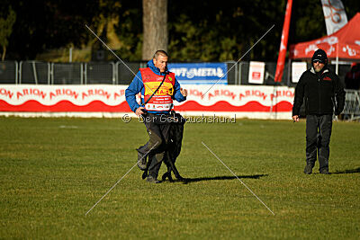 Gibson Mystic Megane