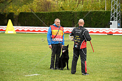 Gibson Mystic Megane