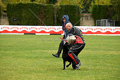 Gibson Mystic Megane