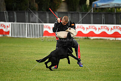 Gibson Mystic Megane