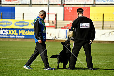 Gill vom Weinbergblick