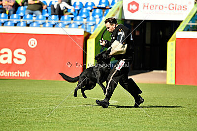 Gill vom Weinbergblick