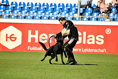 Gill vom Weinbergblick