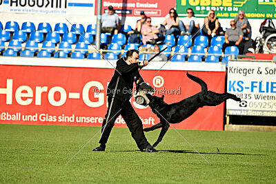 Gill vom Weinbergblick
