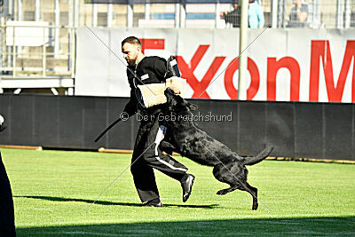 Gill vom Weinbergblick