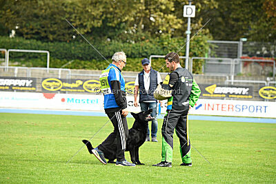 Gill vom Weinbergblick