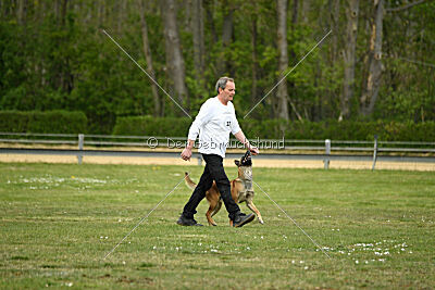 Gitano vom Haus Mecki