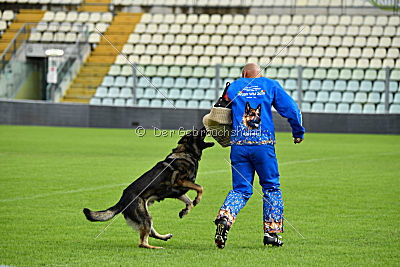 Go vom wilden Hexenkessel