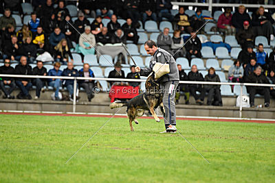 Granit vom Spektefeld