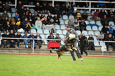 Granit vom Spektefeld