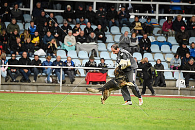 Granit vom Spektefeld