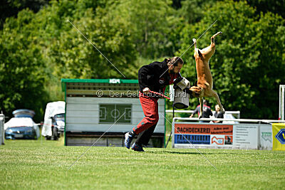 Greek vom schnellen Falken