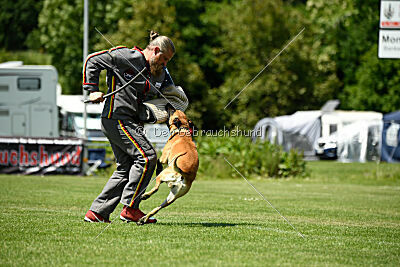 Greek vom schnellen Falken