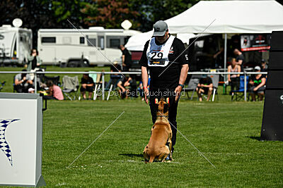 Greek vom schnellen Falken