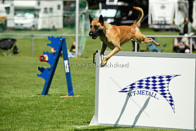 Greek vom schnellen Falken