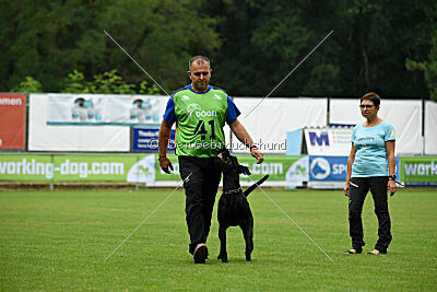Greif vom Hatzbachtal