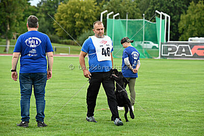 Greif vom Hatzbachtal