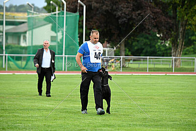 Greif vom Hatzbachtal