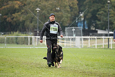 Grisu vom Wolfsdreieck