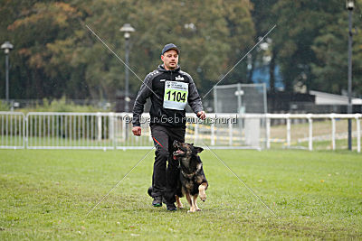 Grisu vom Wolfsdreieck