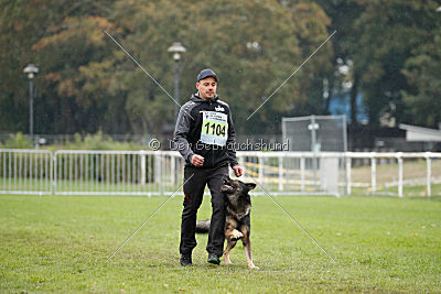 Grisu vom Wolfsdreieck