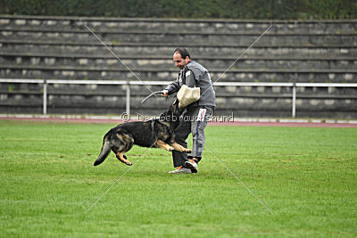 Grisu vom Wolfsdreieck