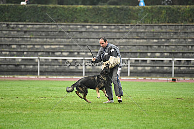 Grisu vom Wolfsdreieck