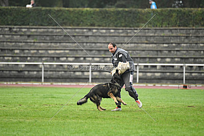 Grisu vom Wolfsdreieck