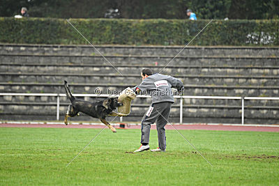 Grisu vom Wolfsdreieck