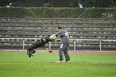 Grisu vom Wolfsdreieck