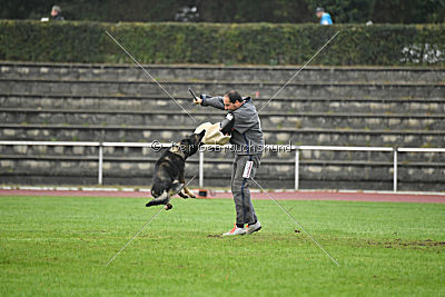 Grisu vom Wolfsdreieck