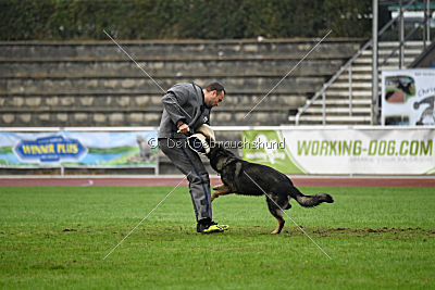 Grisu vom Wolfsdreieck