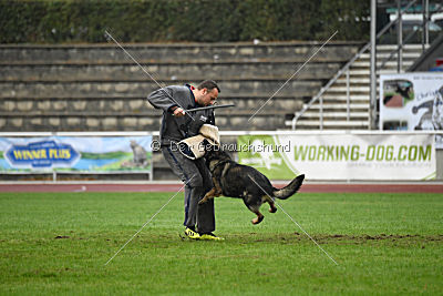 Grisu vom Wolfsdreieck