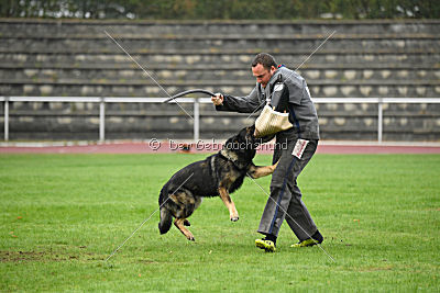 Grisu vom Wolfsdreieck