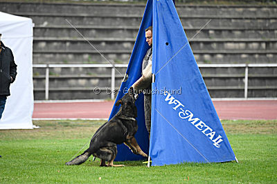 Grisu vom Wolfsdreieck