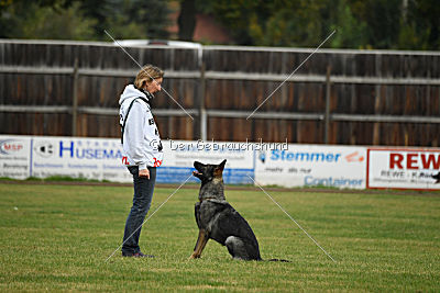 Gucci vom Kalten Born