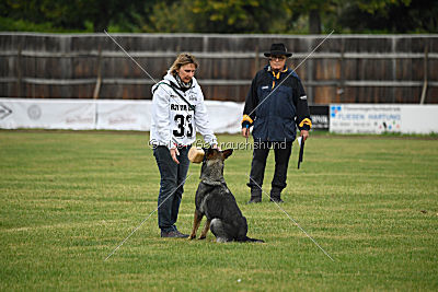 Gucci vom Kalten Born