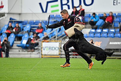 Guccy Yucero Bohemia