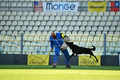 Guccy Yucero Bohemia