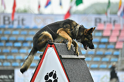 Guliat de Santa Rosa