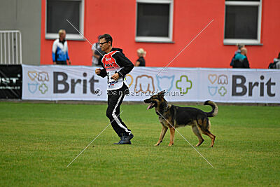 Guliat de Santa Rosa