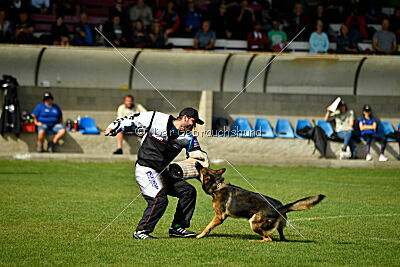 Guliat de Santa Rosa