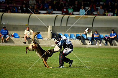 Guliat de Santa Rosa