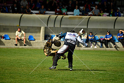 Guliat de Santa Rosa