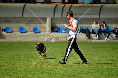 Guliat de Santa Rosa