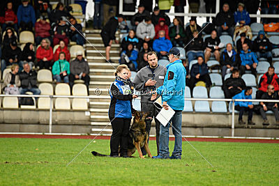 Gun vom bösen Michel