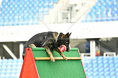 Gustl vom Haus Pixner