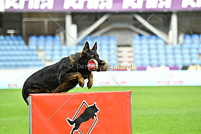 Gustl vom Haus Pixner