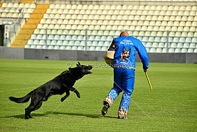 Hacker vom Röhnsaler Bach
